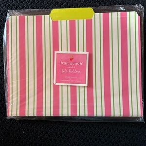Fruit Punch Pink and White and Green File Folders - Set of 8